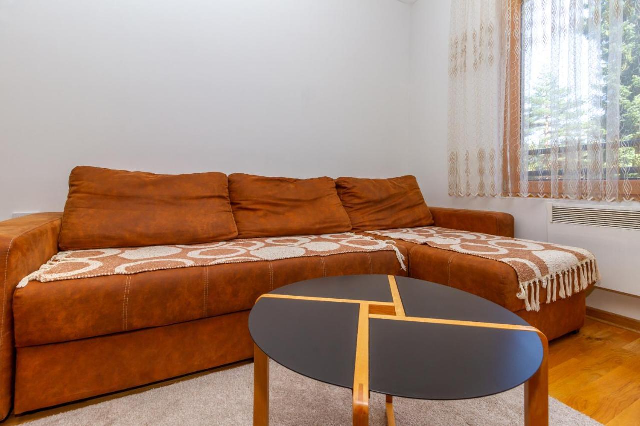 Binis Apartment Zlatibor Bagian luar foto
