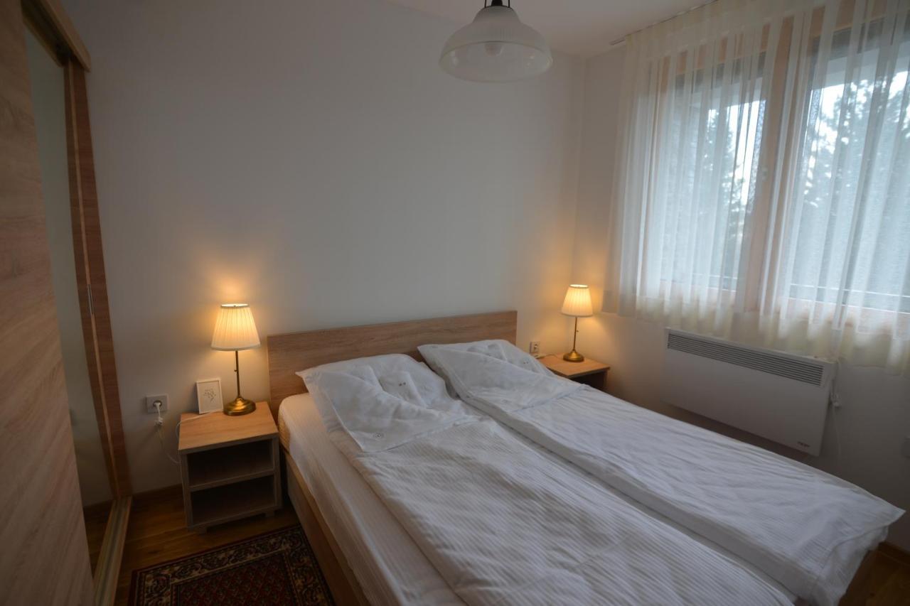 Binis Apartment Zlatibor Bagian luar foto