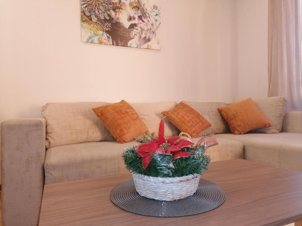 Binis Apartment Zlatibor Bagian luar foto